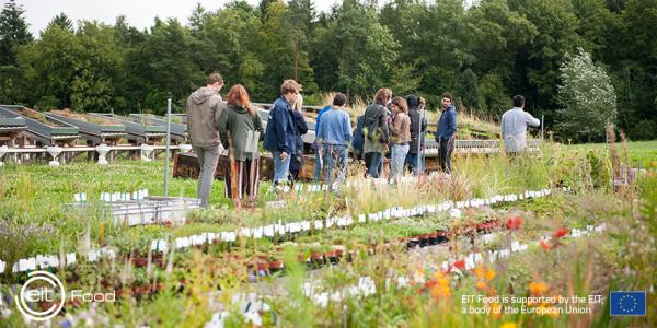 EIT Food RIS Fellowships