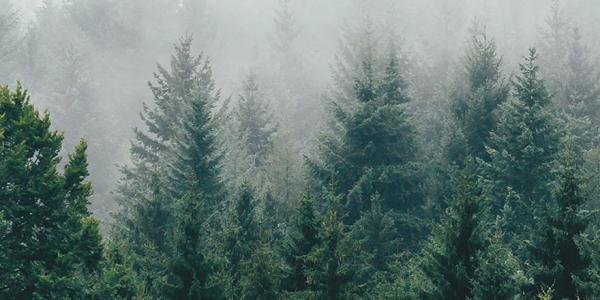 EIT RawMaterials opens new Innovation Hub for the Baltic region