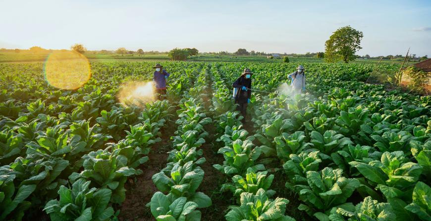 EIT Food: EUR 1 Investment in Agri-Food Innovation Generates EUR 21.50 Return Over 15 Years