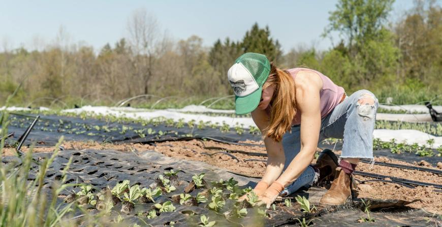 Innovative Food Solutions Reach Rural Europe