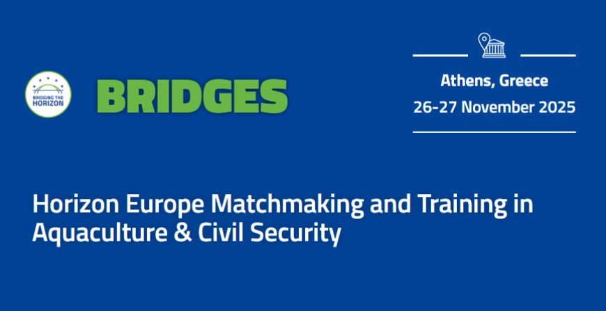 Bridges Programme
