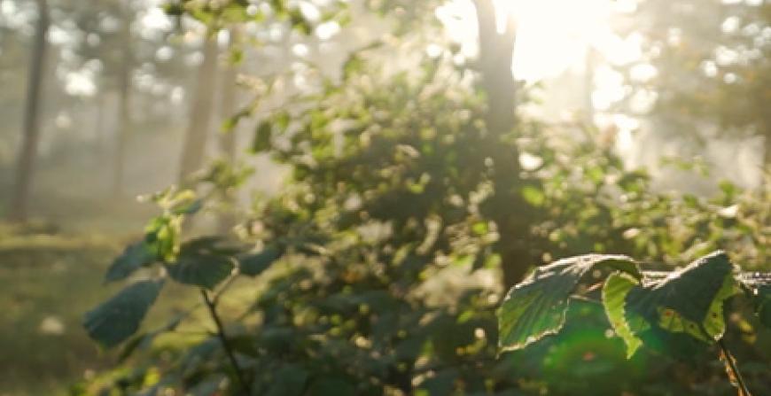 Climate KIC Secures Largest Share of Horizon Missions Funding