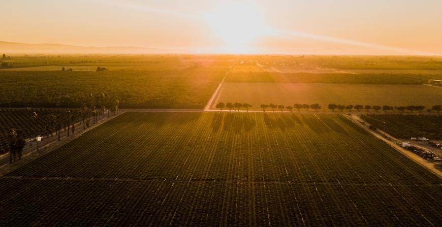 Test Farms Startups Call