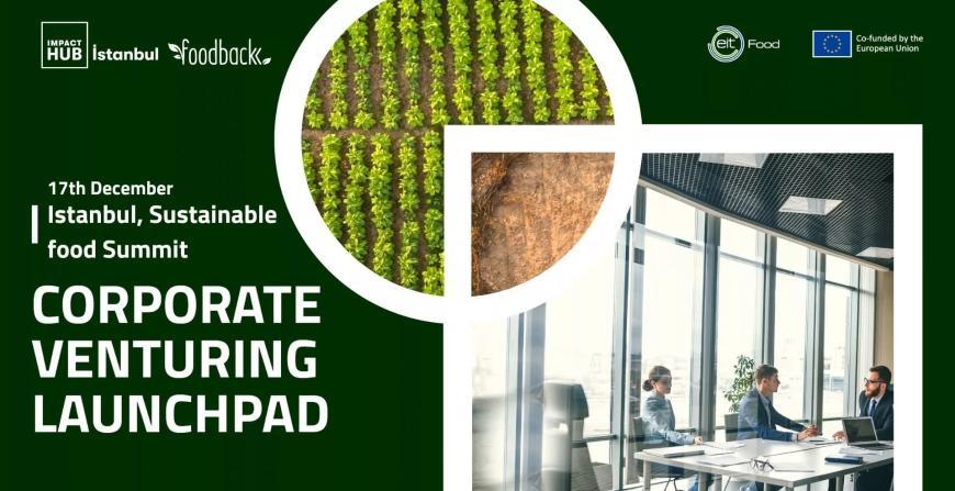 Corporate Venturing Launchpad in Turkiye