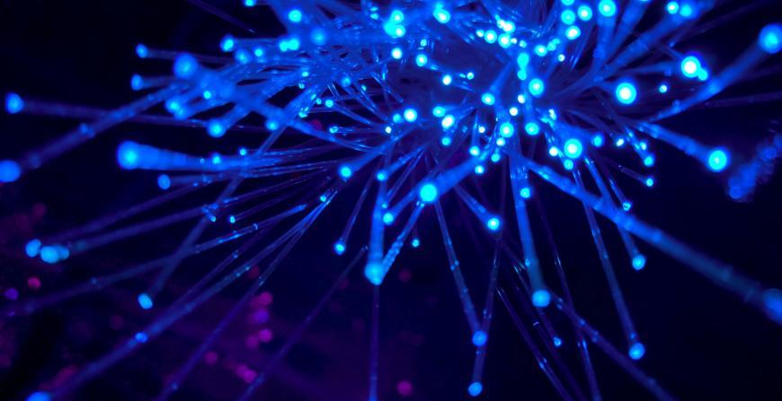 SPIN: Rise 2026 Call