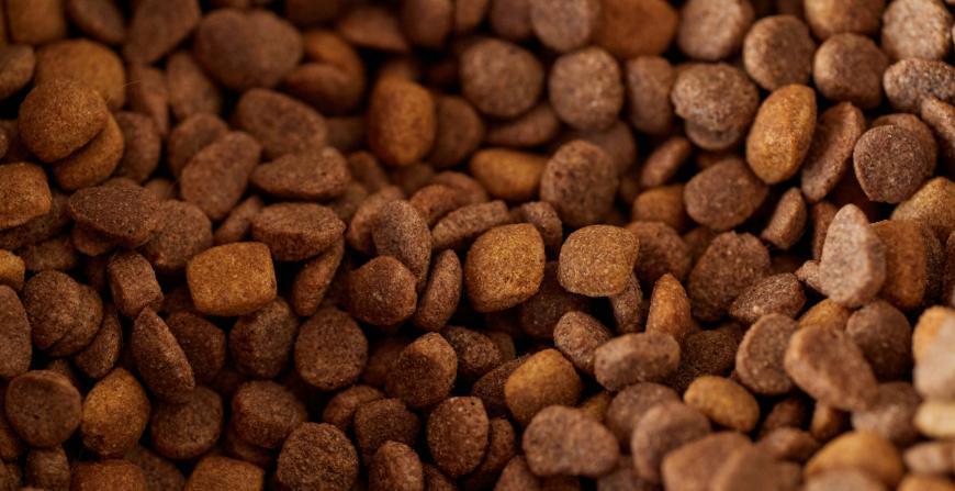 Reimagining Pet Nutrition: Sustainable & Engineered Fat Solutions