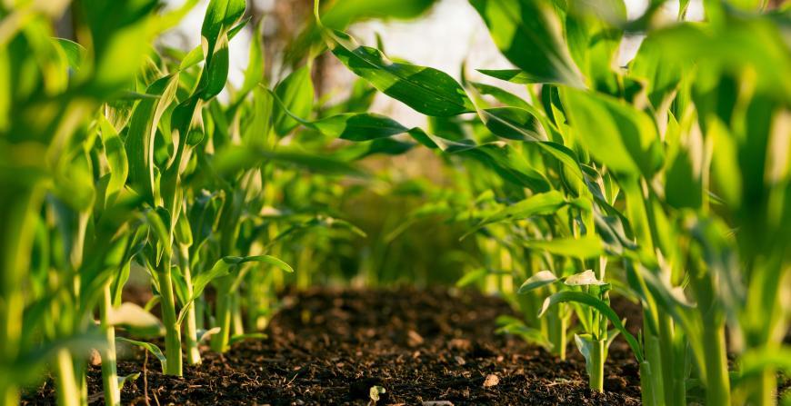 EIT Food Accelerator Network 2026