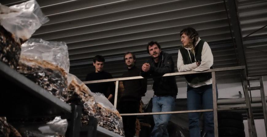 Growing the Future of Architecture with Mycelium