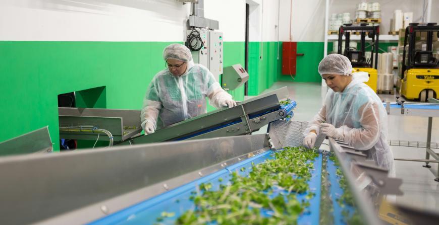 RisingFoodStars 2026